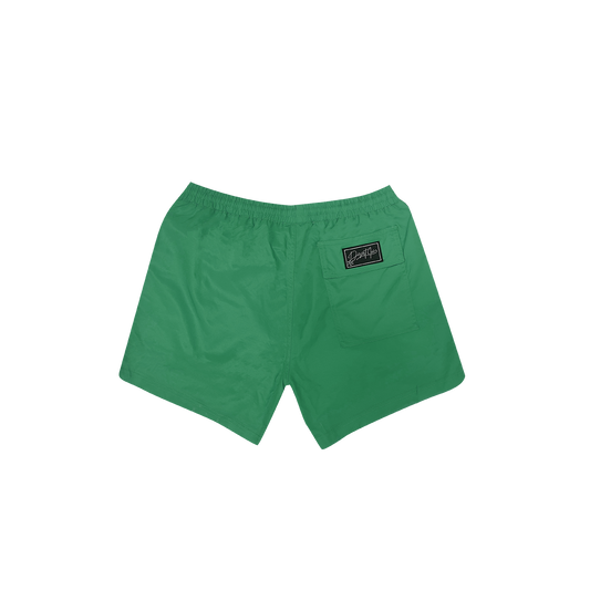 DESERT ICE SWIMSHORTS Green REF.BS-01